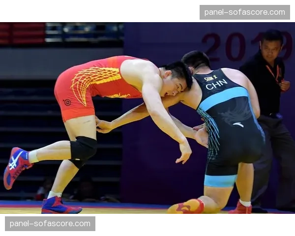 国际摔跤赛事裁判培训：确保2026新规则准确执行