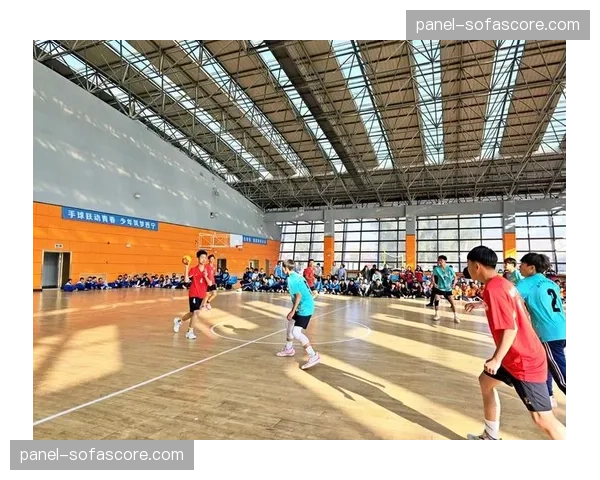 手球运动进校园计划推进，多地中小学开设手球课程