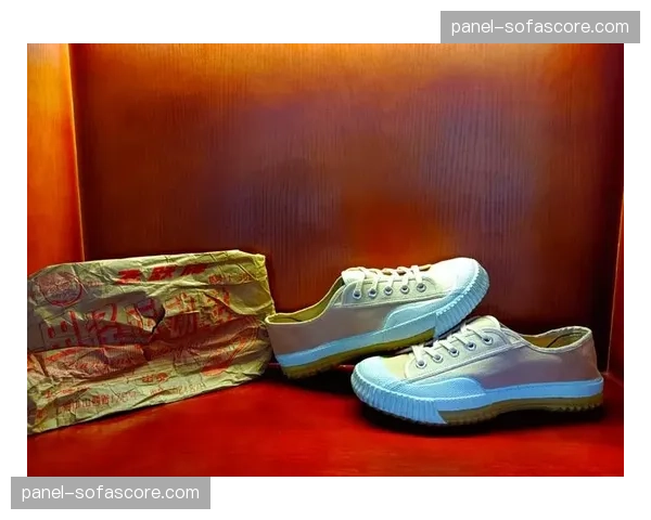 世界田径理事会通过新规,2027年起全面禁止“超级跑鞋”科技 世界田径理事会通过新规,2027年起全面禁止“超级跑鞋”科技