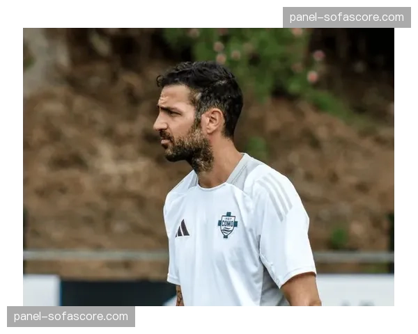 法布雷加斯：意大利国家队工作现在会很无聊，我早上6点就打开科莫训练场